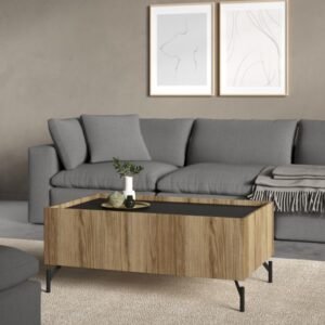 Palmer Coffee table with 2 Drawers Oak and Black